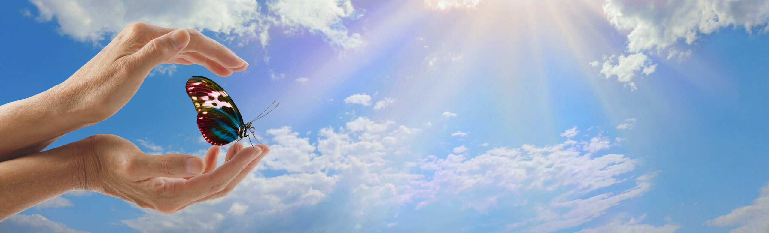 Paragnost Eddie en Consulenten